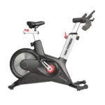 Fitness Premium Series Indoor Spin Bike - 41FS300A